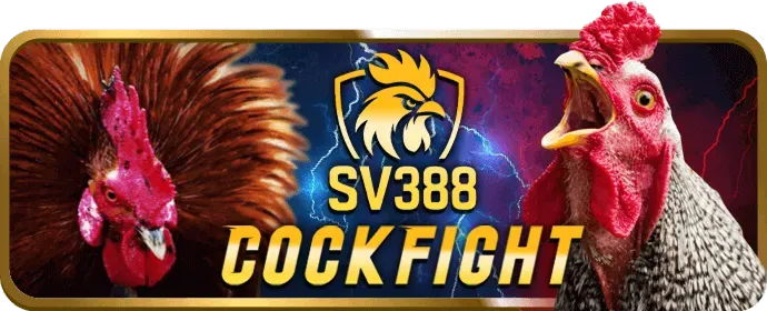Chuyên mục cá cược thể thao Bomwin Casino